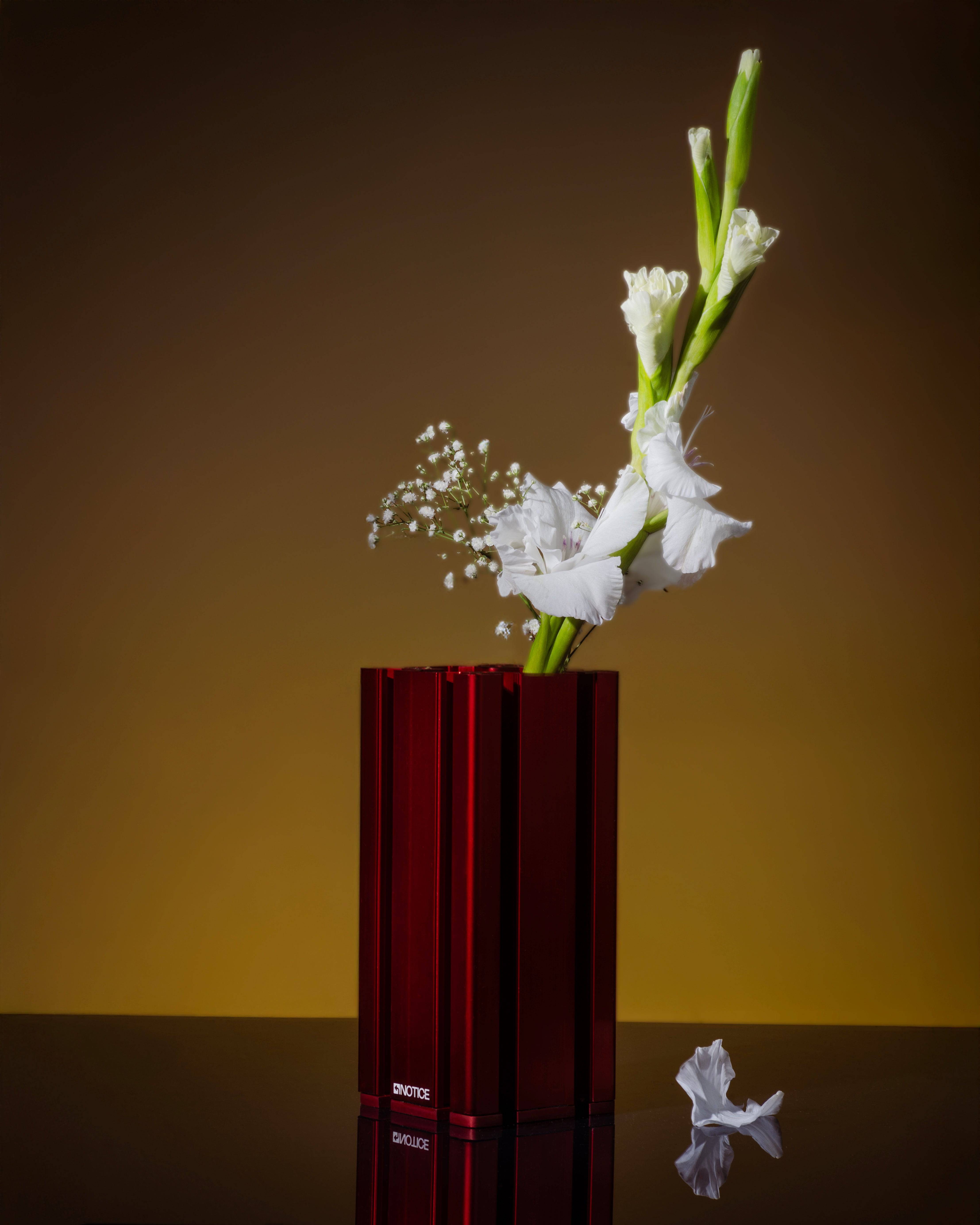 EXTRUSION VASE - RED - Notice