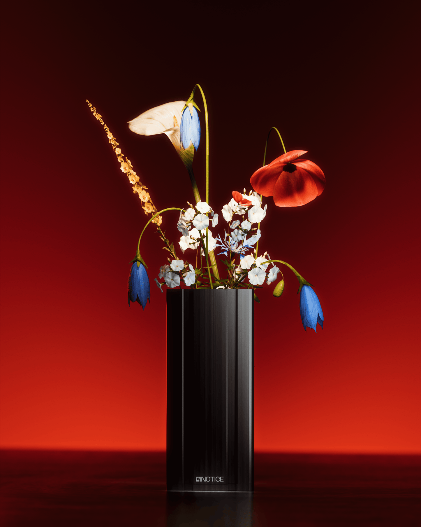 EXTRUSION VASE - BLACK - Notice