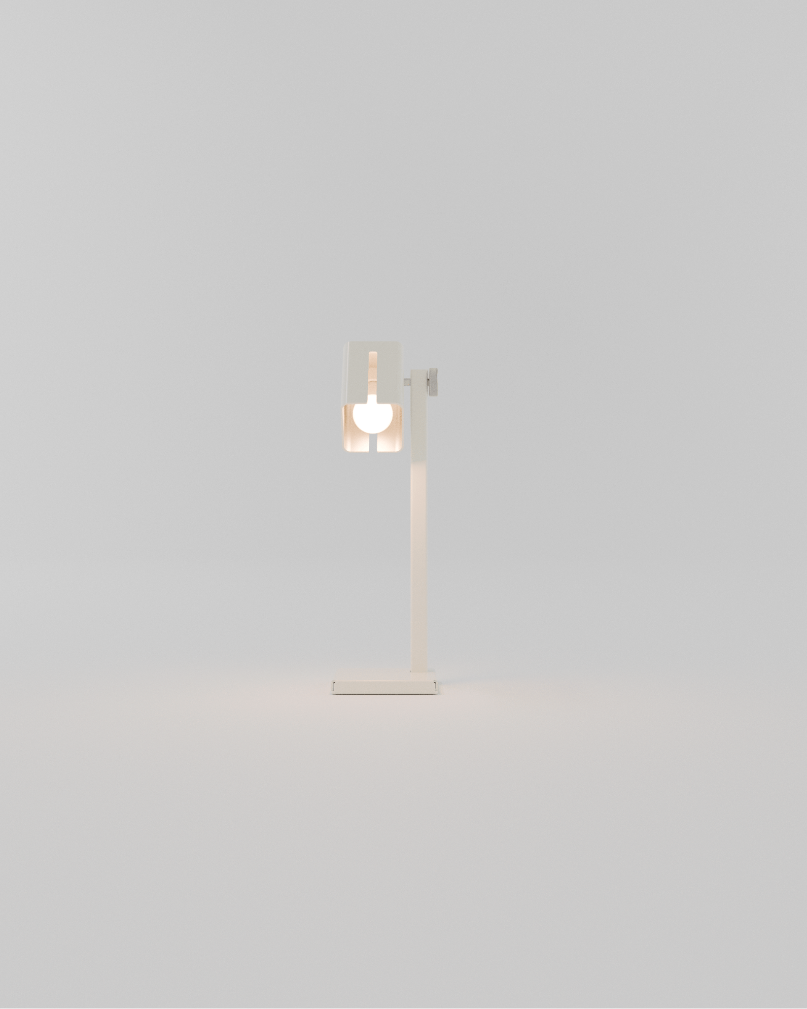 INDUSTRIAL LAMP - Notice