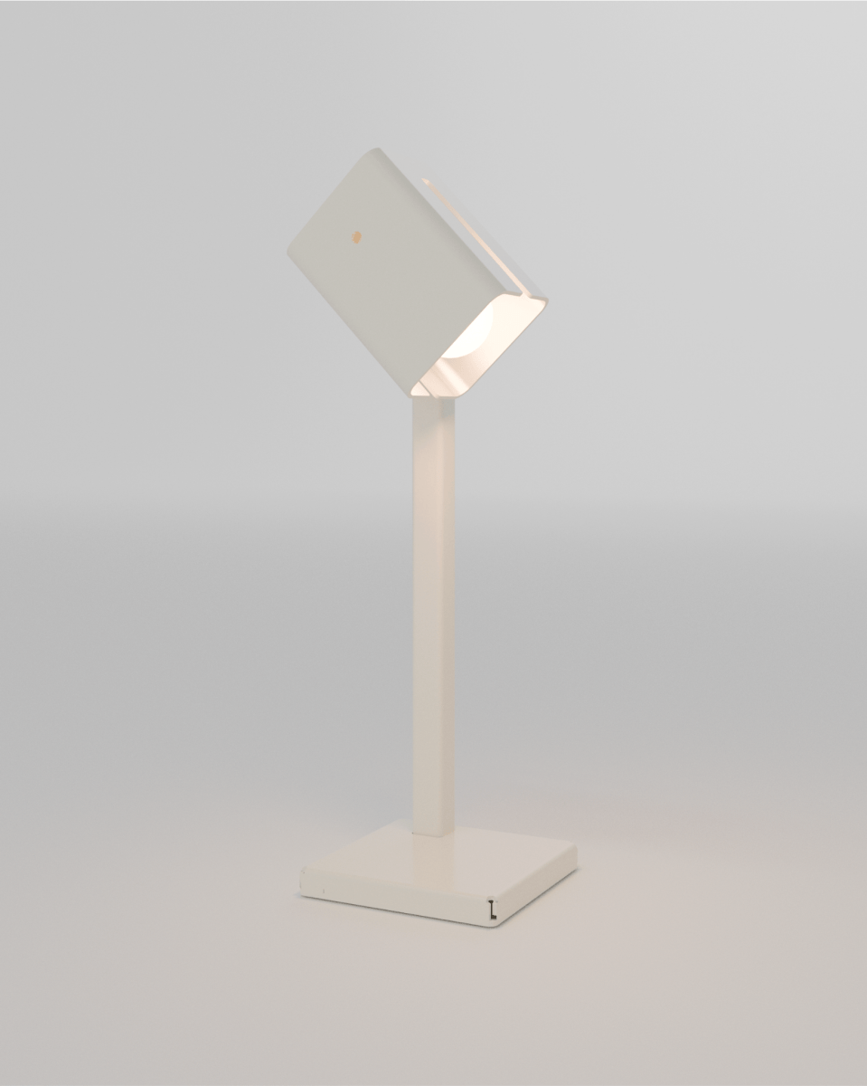 INDUSTRIAL LAMP - Notice