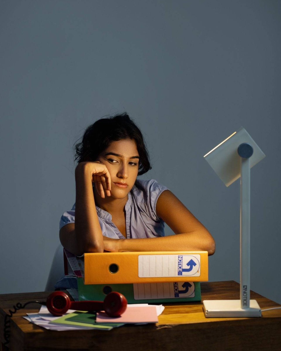 INDUSTRIAL LAMP - Notice